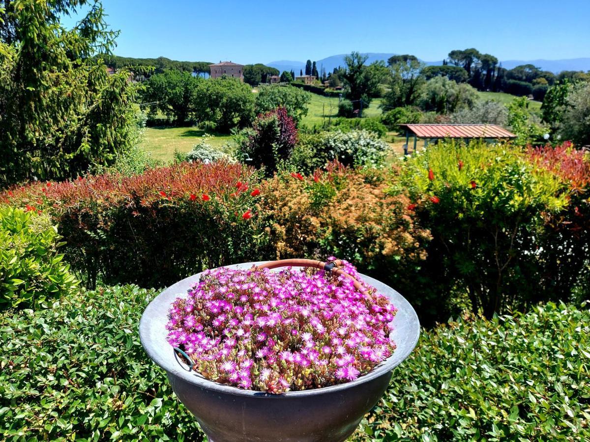 Montebello Park Hotel Perugia Dış mekan fotoğraf