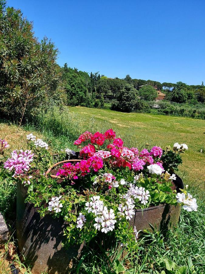 Montebello Park Hotel Perugia Dış mekan fotoğraf